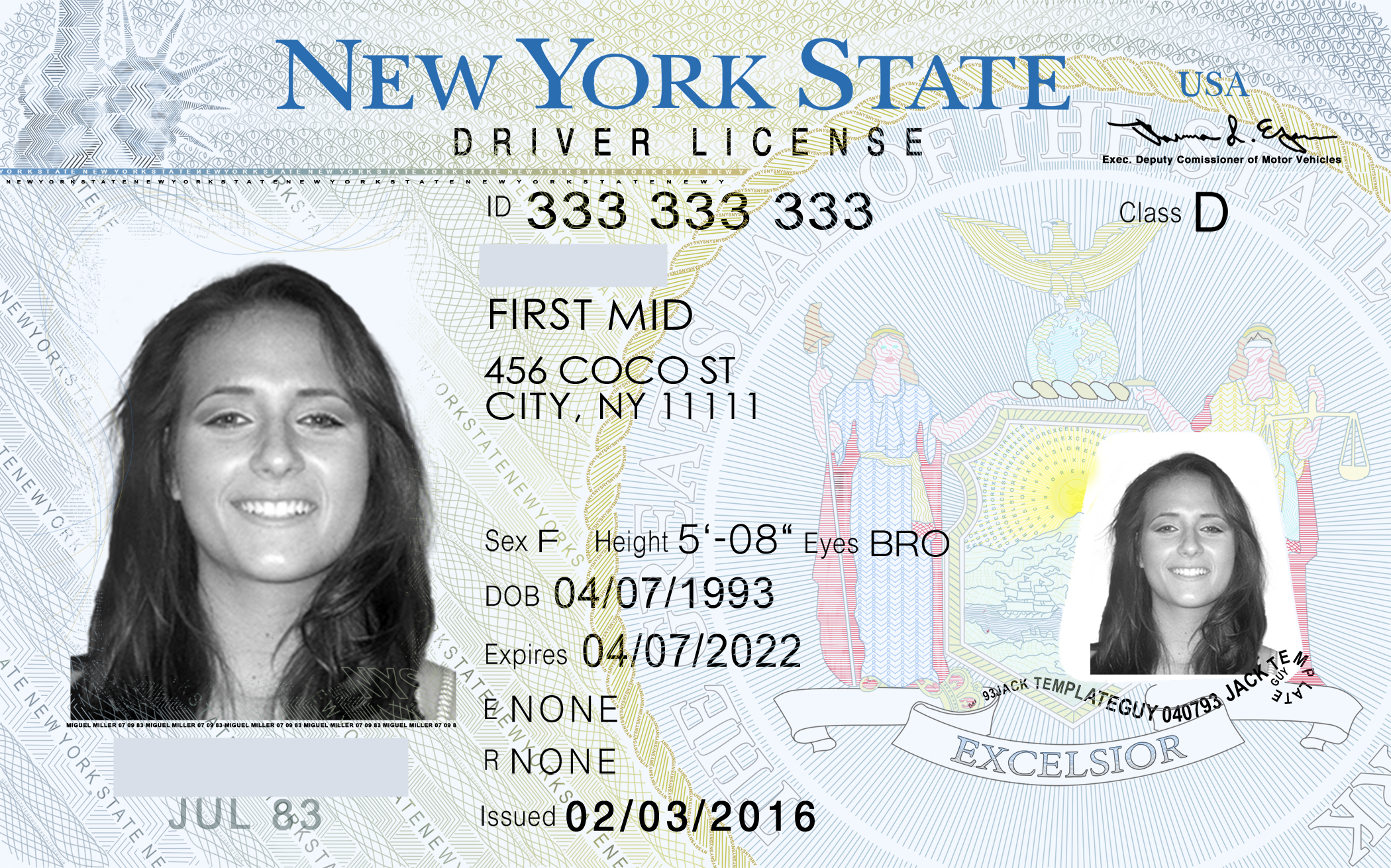 New York Fake ID