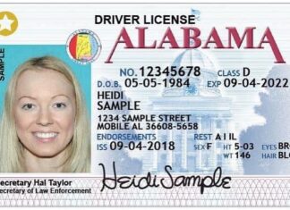 Alabama Fake Id Online