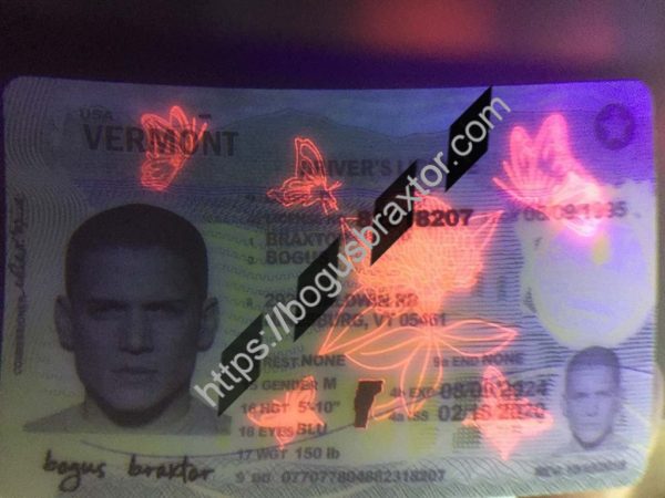 Best Vermont Fake Id