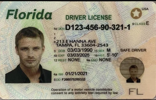 Buy Florida Fake Id