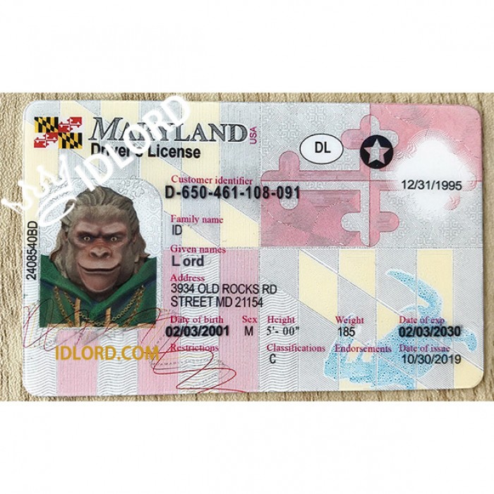 Buy Maryland Fake Id