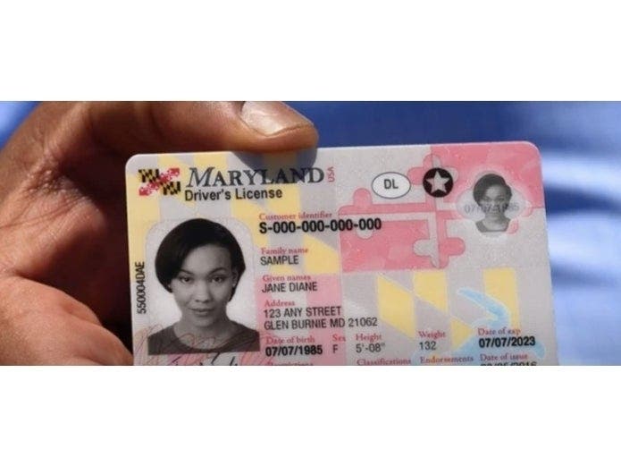 Buy Maryland Fake Id