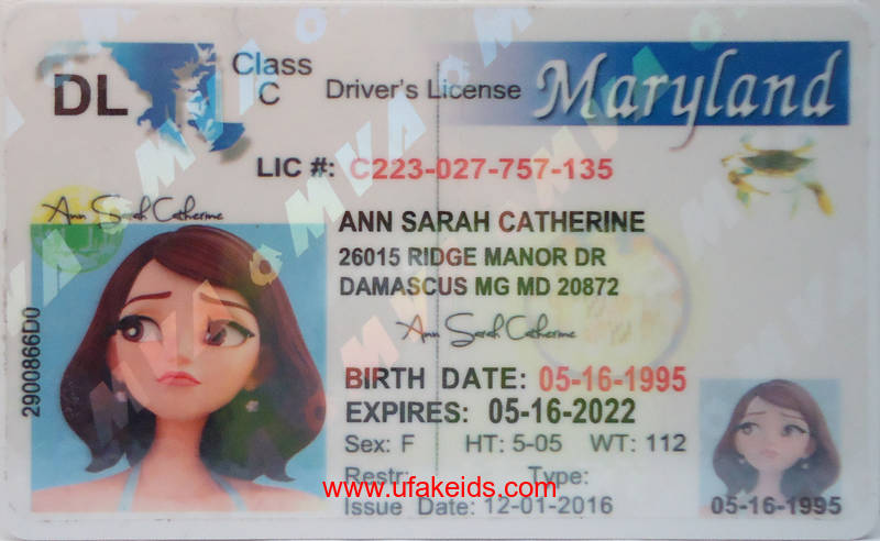 Buy Maryland Fake Id