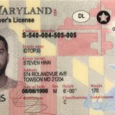 Buy Maryland Fake Id