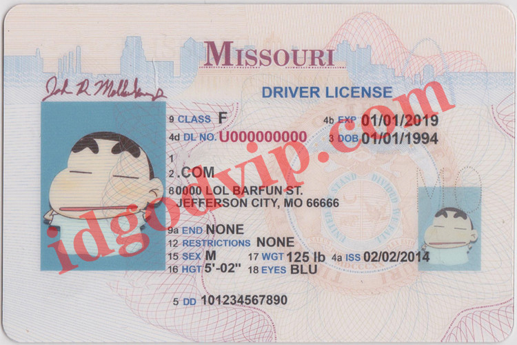 Buy Missouri Scannable Fake Id