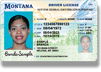 Buy Montana Fake Id