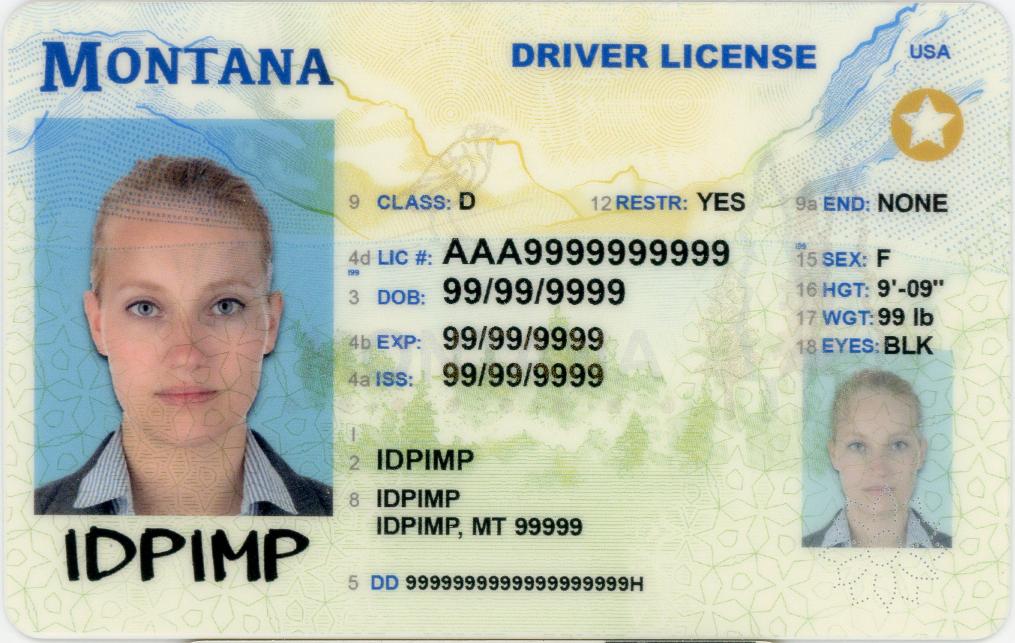 Buy Montana Fake Id