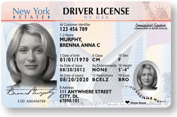 Buy New York Fake Id