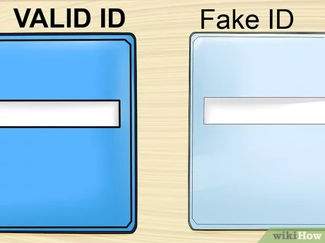 Buy North Carolina Scannable Fake Id