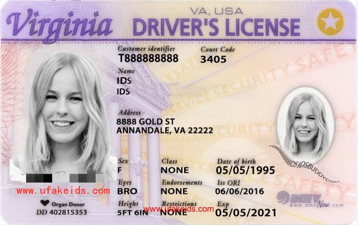 Buy Virginia Scannable Fake Id