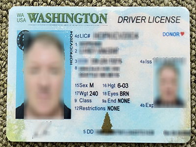 Buy Washington Scannable Fake Id