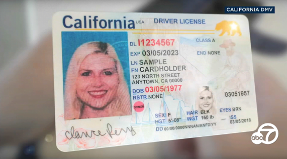 California Fake Id Website