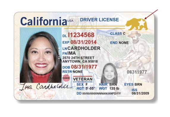 California Fake Id Website