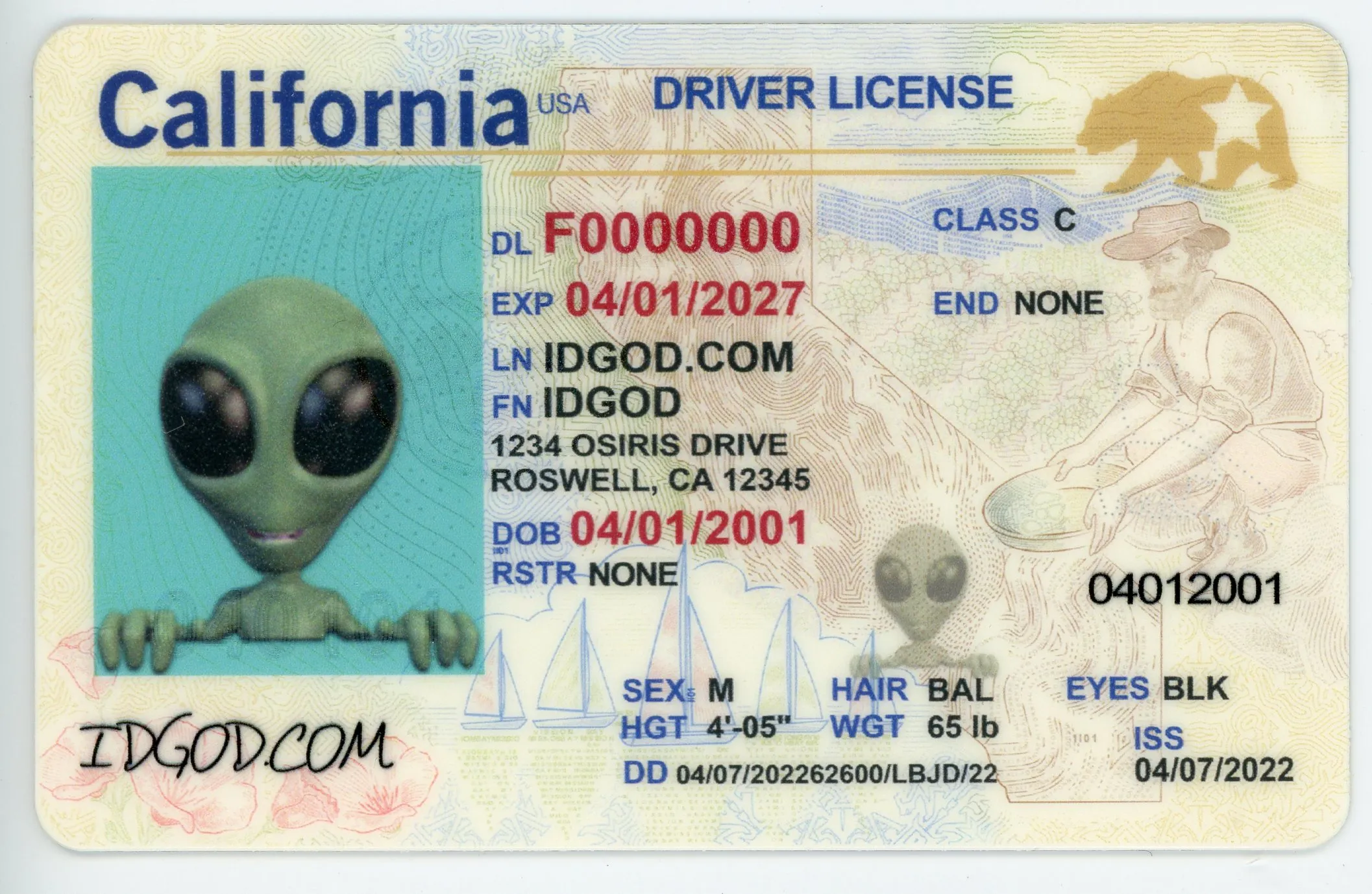 California Scannable Fake Id Online