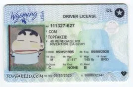 Cheap Idaho Fake Id