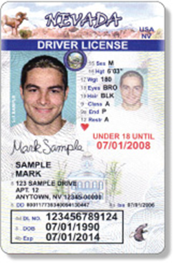 Cheap Nevada Fake Id