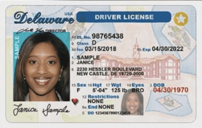 Cheap Nevada Fake Id