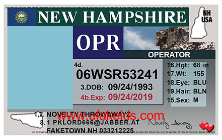 Cheap New Hampshire Scannable Fake Id