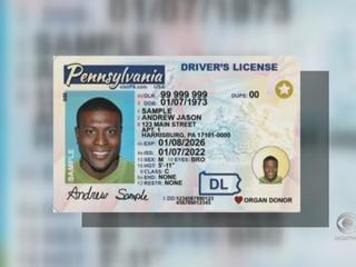 Cheap Pennsylvania Fake Id