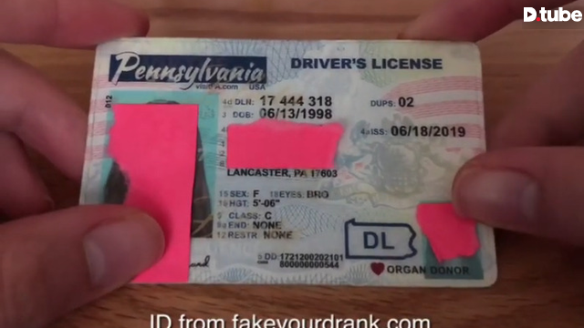 Cheap Pennsylvania Fake Id