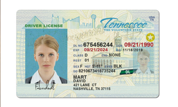 Cheap Tennessee Fake Id