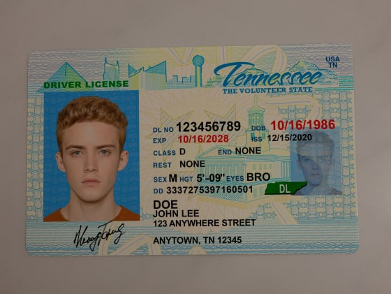 Cheap Tennessee Fake Id