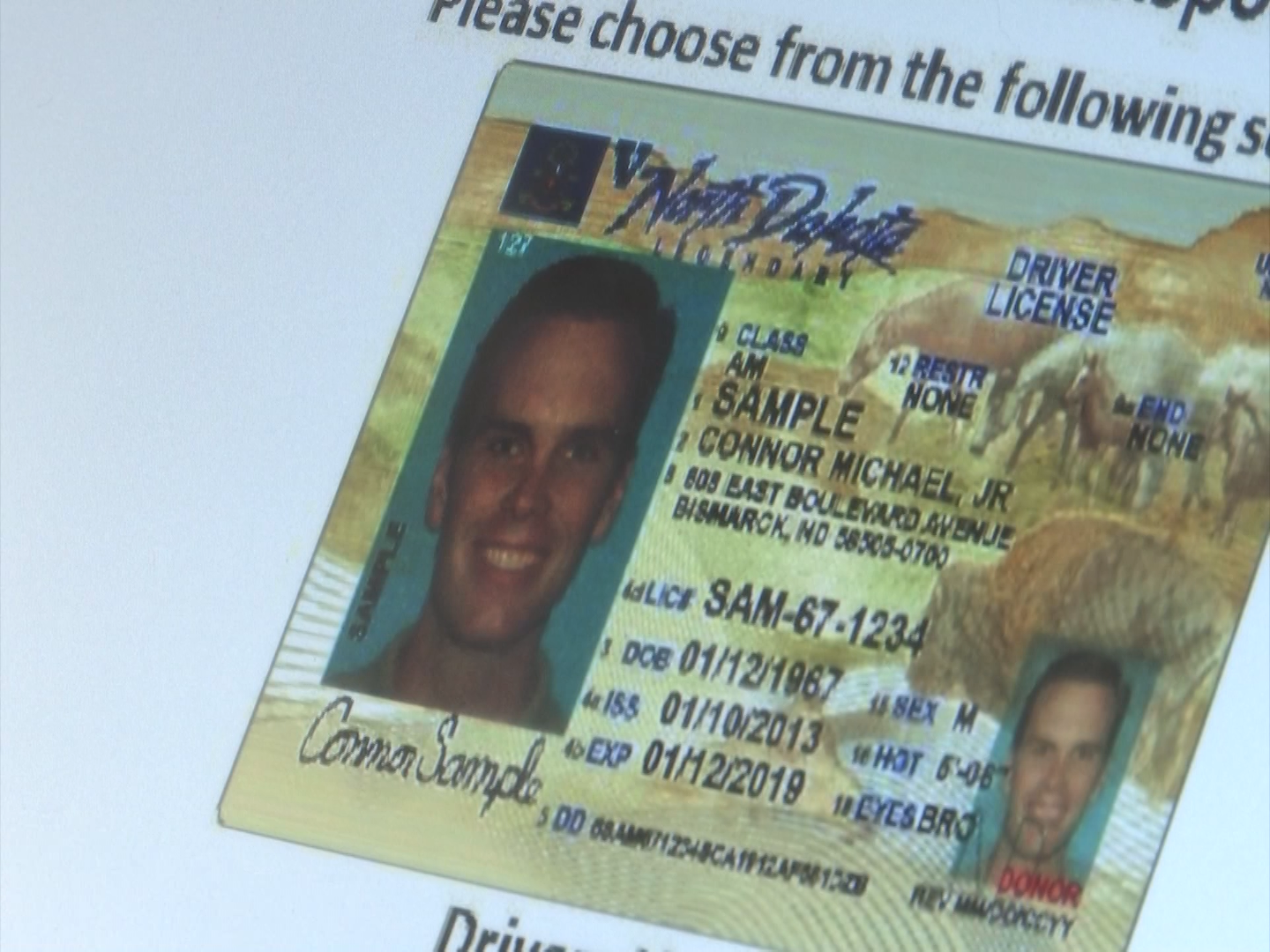 Cheap Tennessee Fake Id