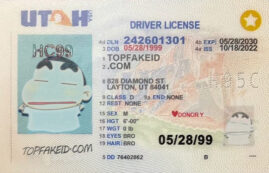 Cheap Tennessee Fake Id