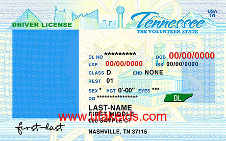 Cheap Tennessee Scannable Fake Id