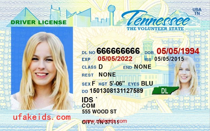 Cheap Tennessee Scannable Fake Id