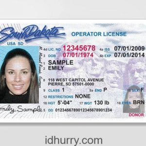 Cheap Virginia Fake Id