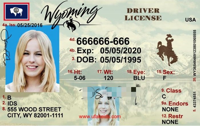 Cheap Wyoming Scannable Fake Id