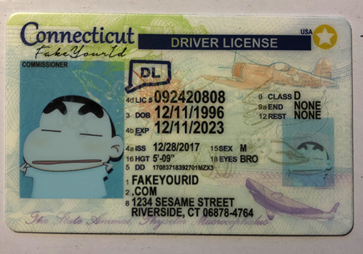 Connecticut Fake Id Generator