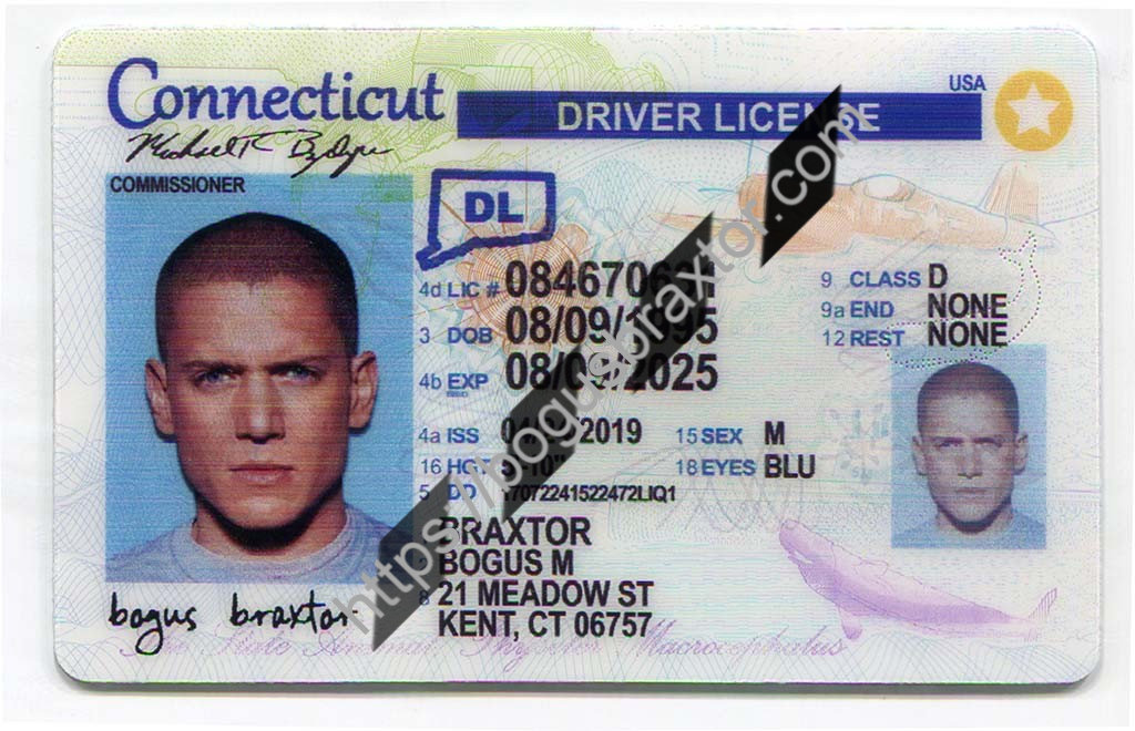 Connecticut Fake Id Generator