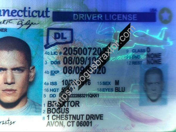 Connecticut Scannable Fake Id Website