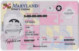 Connecticut Scannable Fake Id Website