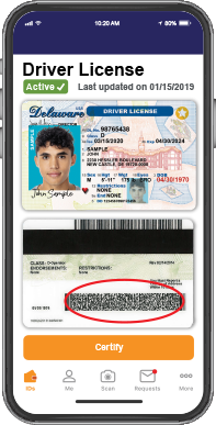 Delaware Scannable fake id