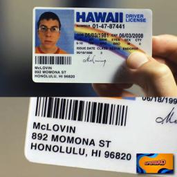 fake id hawaii
