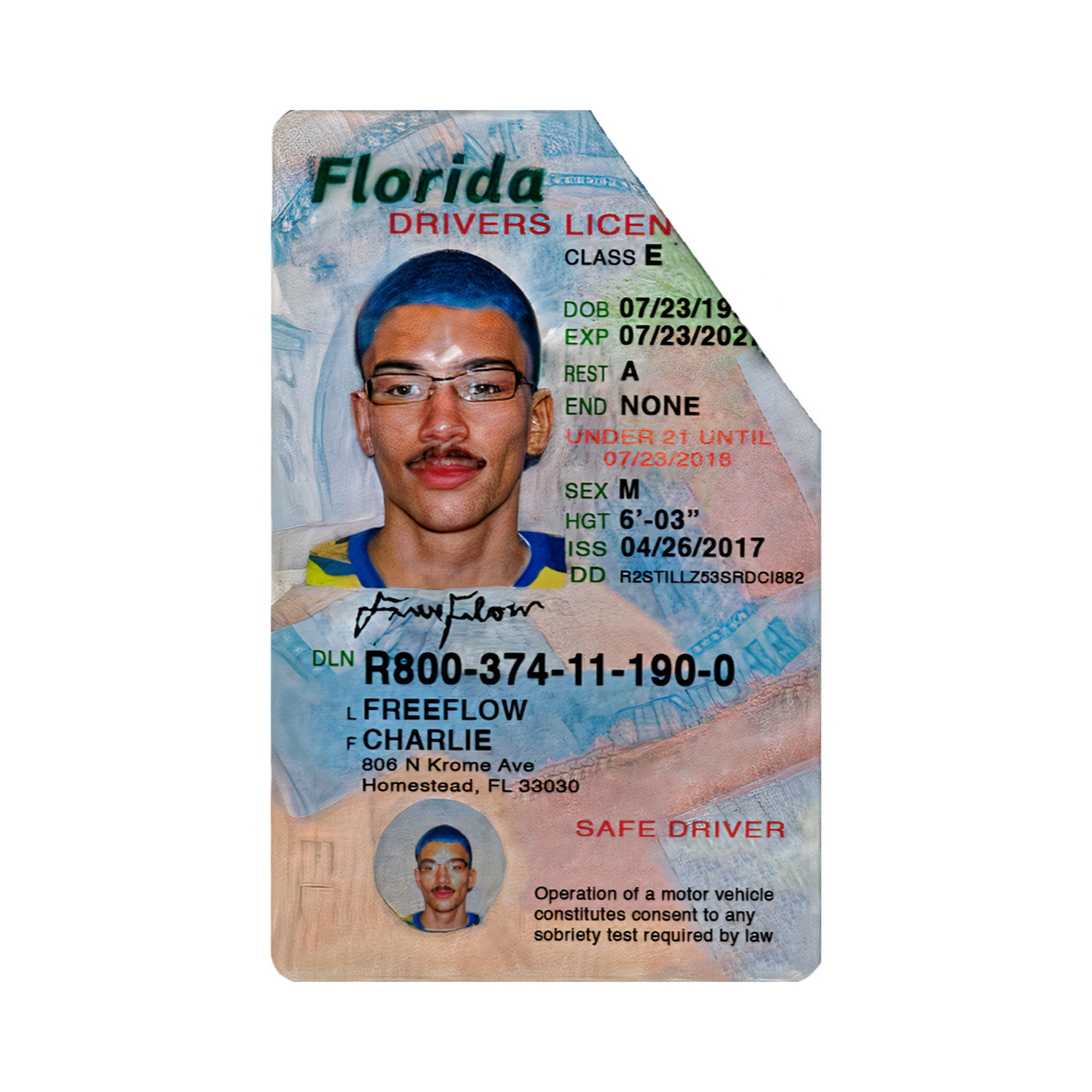 fake id laws in florida