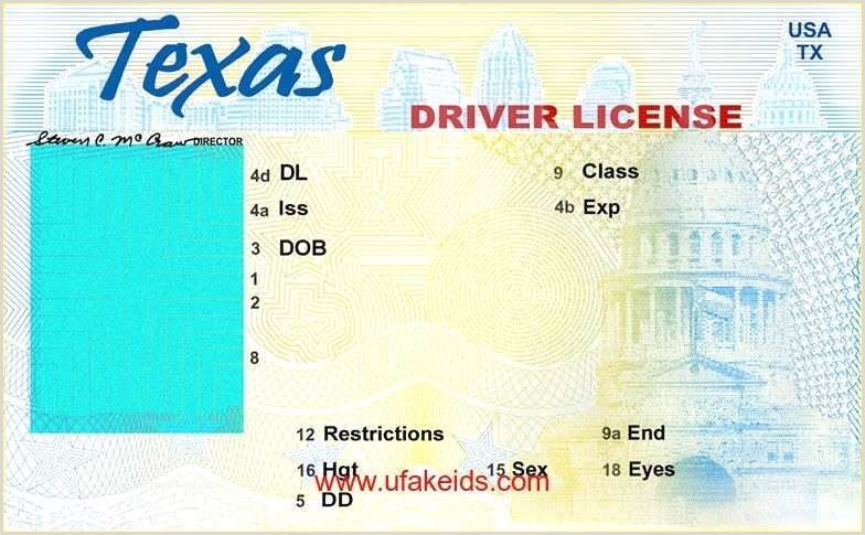 Fake Ids Templates