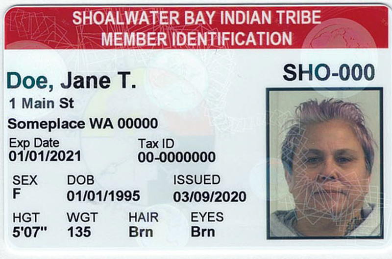 fake tribal id card