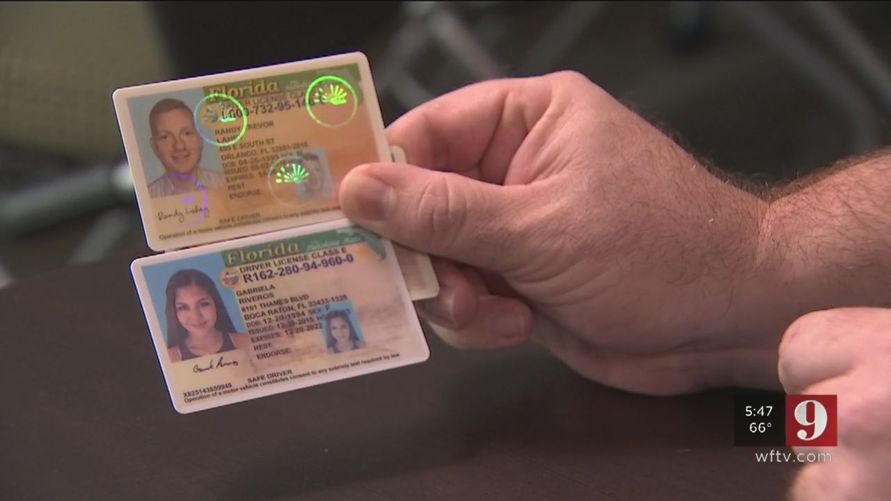 Florida Fake Id Charges