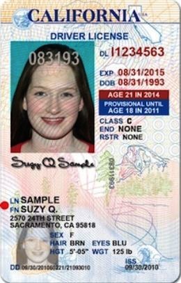 good fake id pictures