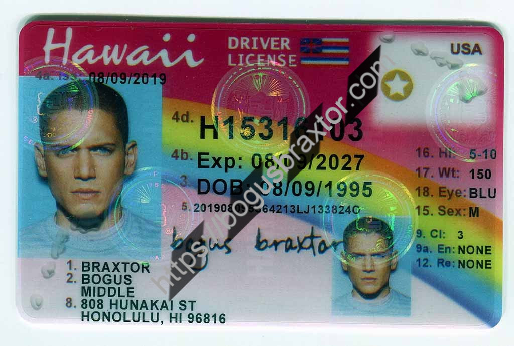 Hawaii Scannable Fake Id Online