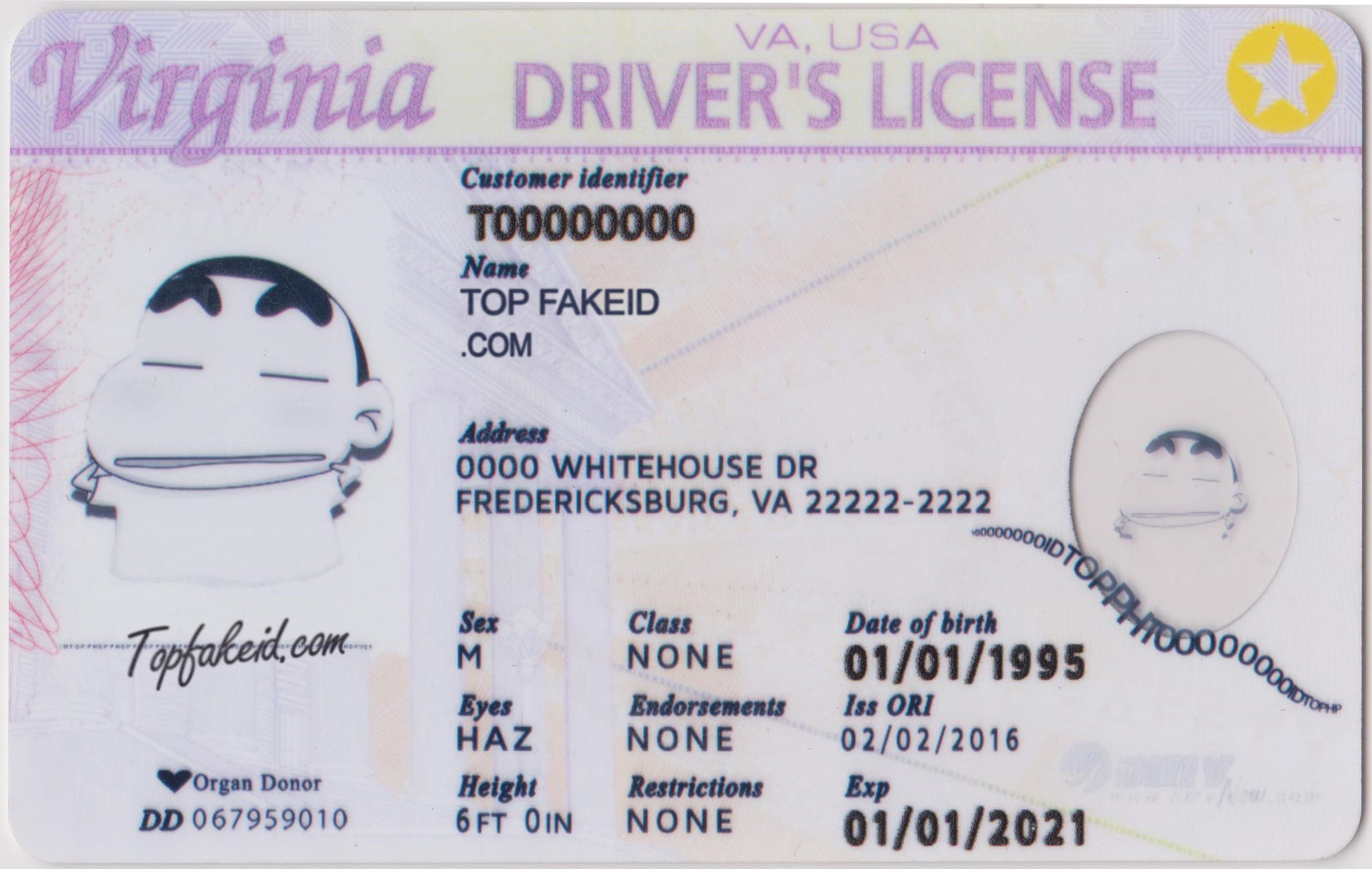 Hawaii Scannable Fake Id Online