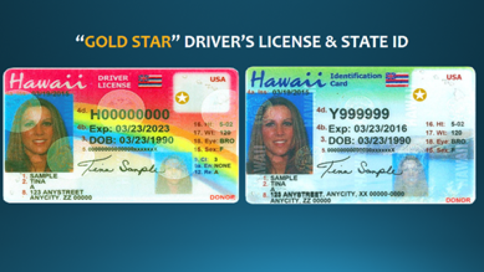 Hawaii Scannable Fake Id Online