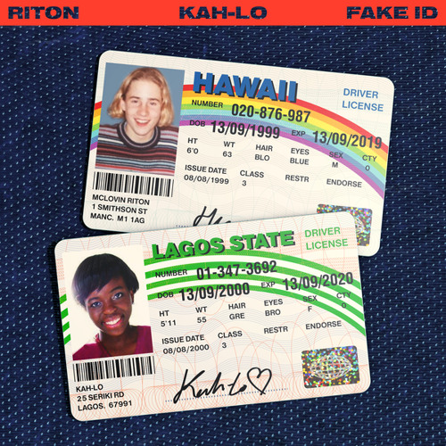 How Much Is A Hawaii Scannable Fake Id