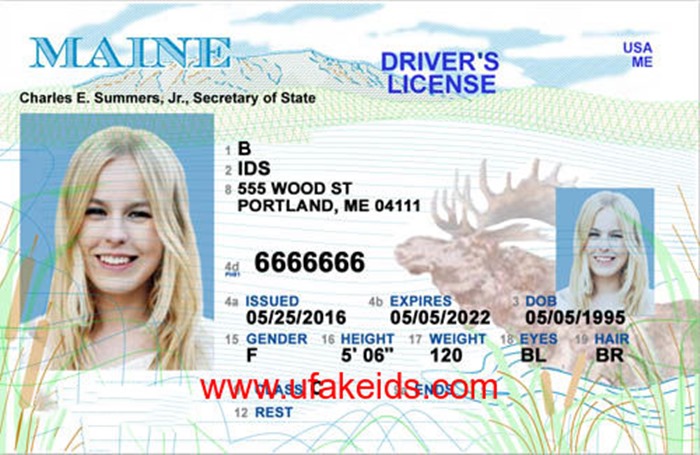 How Much Is A Maine Fake Id