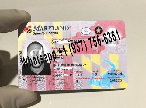 How Much Is A Maryland Scannable Fake Id