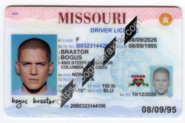 How Much Is A Missouri Fake Id